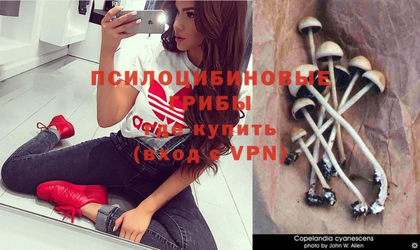 скорость mdpv Дмитриев