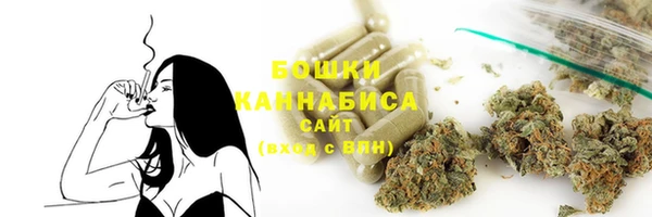 СК Гусь-Хрустальный