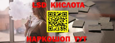 шишки Кандалакша