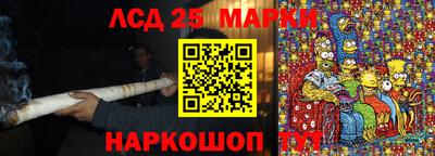 шишки Кандалакша