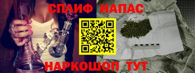 шишки Кандалакша