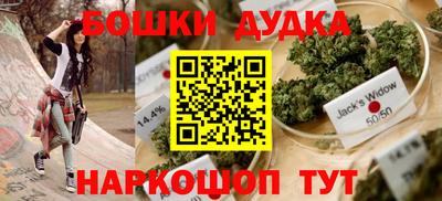 шишки Кандалакша