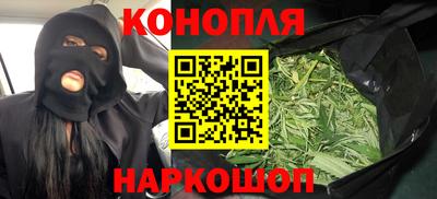 шишки Кандалакша