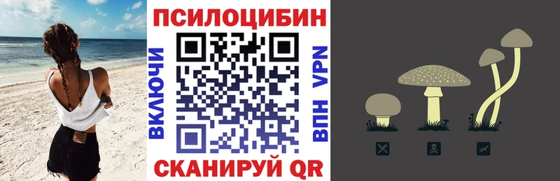 закладки Мценск Галлюциногенные грибы Magic Shrooms