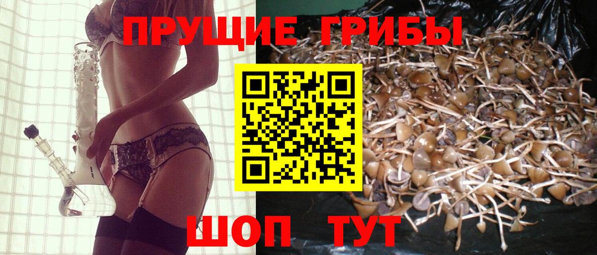 Галлюциногенные грибы GOLDEN TEACHER  Мценск 