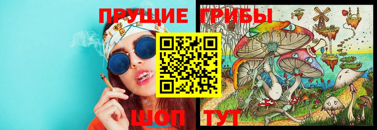 Псилоцибиновые грибы прущие грибы Мценск